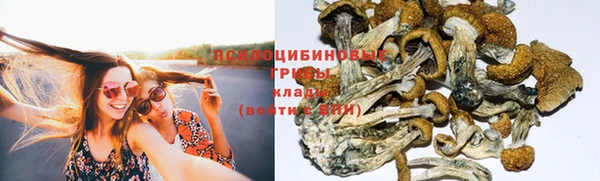шишки Армянск