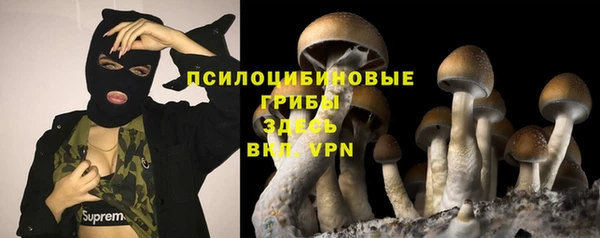 соль ск Алексеевка