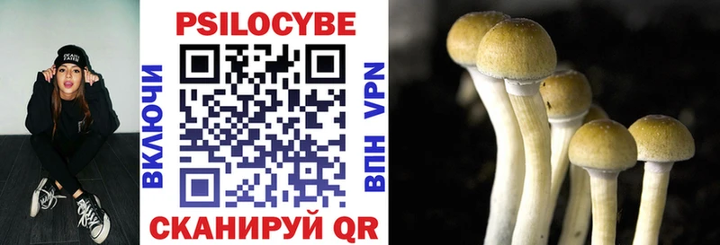 Галлюциногенные грибы MAGIC MUSHROOMS Кропоткин
